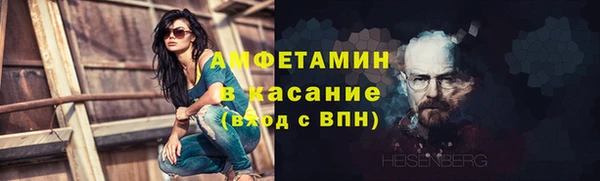 прущие грибы Бугульма