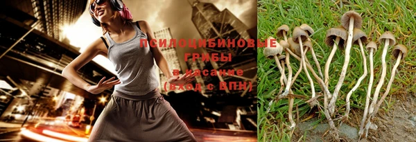 прущие грибы Бугульма