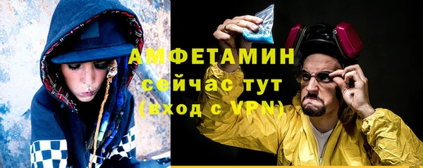 прущие грибы Бугульма